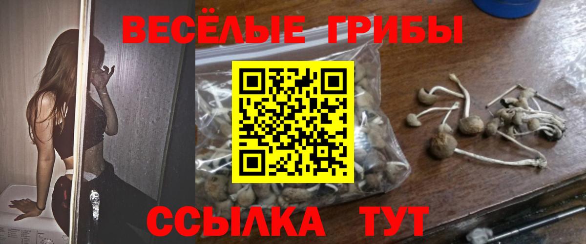 Псилоцибиновые грибы мицелий Менделеевск